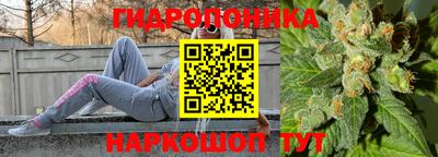 спиды Новозыбков