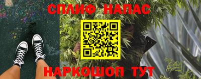 спиды Новозыбков