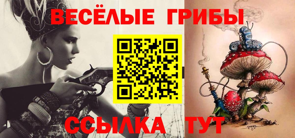 Углич  Псилоцибиновые грибы MAGIC MUSHROOMS  Галлюциногенные грибы Psilocybe  Вход с VPN 
